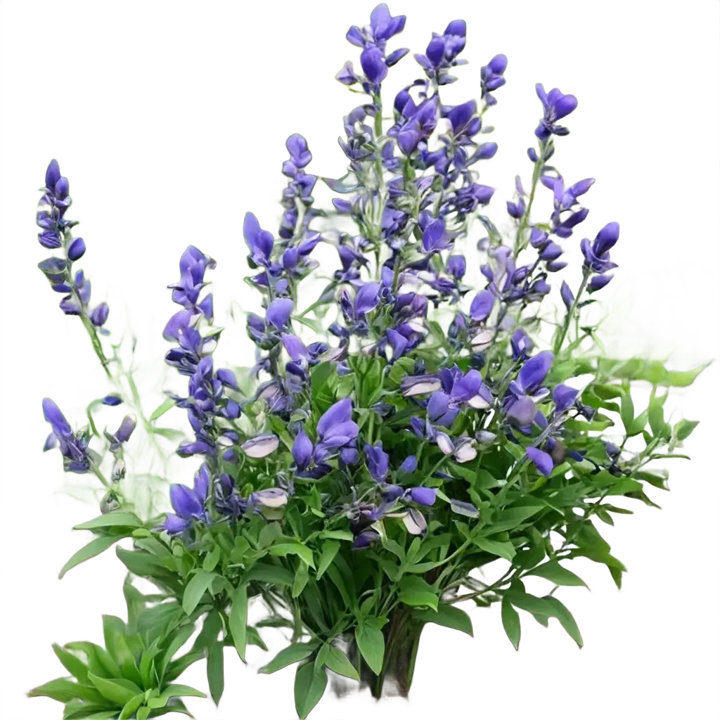 Perennial plants